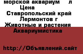 морской аквариум 450л › Цена ­ 100 000 - Ставропольский край, Лермонтов г. Животные и растения » Аквариумистика   